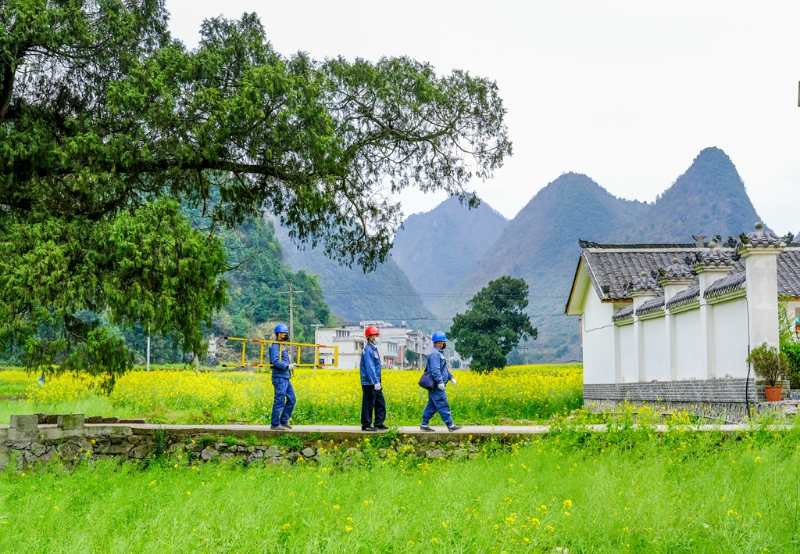 平塘供電局：“網(wǎng)格化”服務(wù)，護(hù)航“菜籃子”