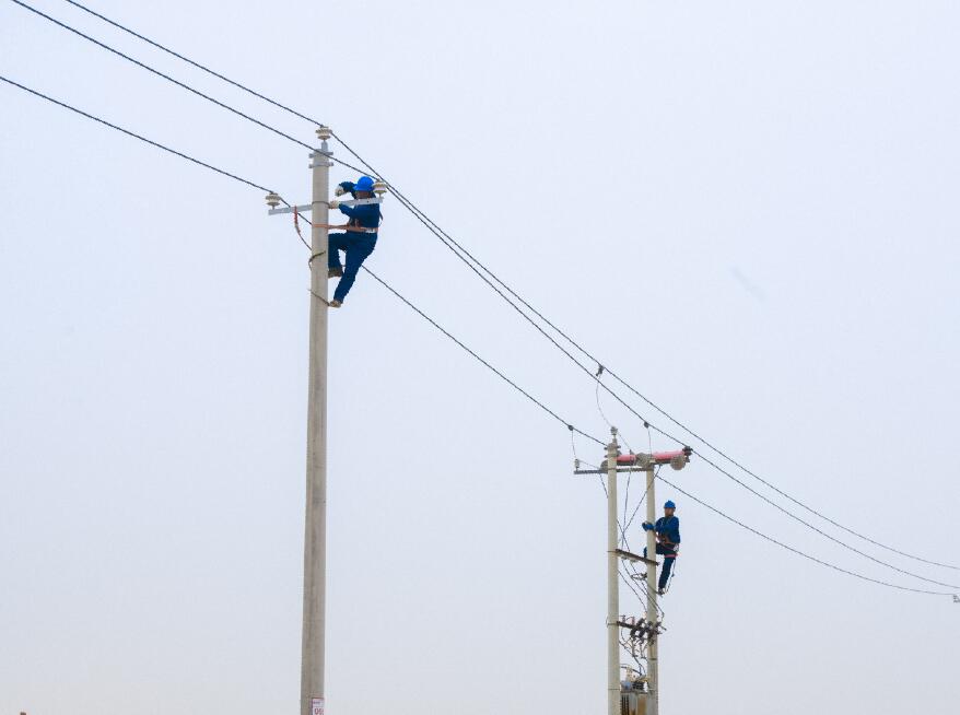 阿拉善供電公司：電網(wǎng)健康“體檢”，從登桿開始