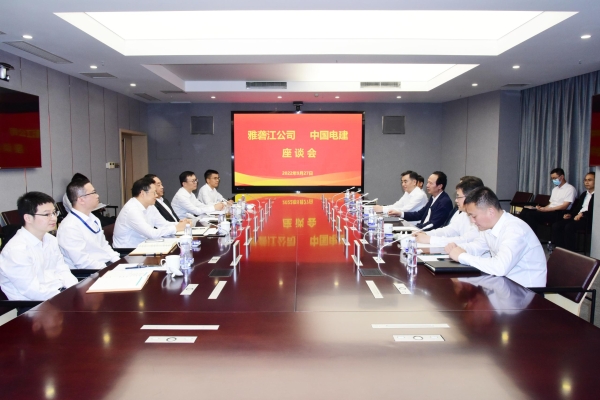 丁焰章與雅礱江公司黨委書記、董事長祁寧春座談