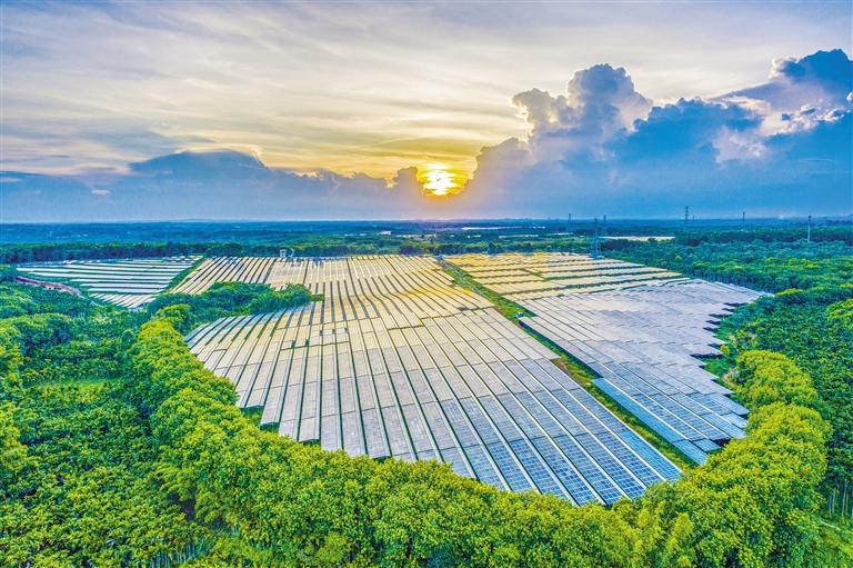 海南電網(wǎng)公司加快構(gòu)建現(xiàn)代供電服務(wù)體系，驅(qū)動鄉(xiāng)村振興電力引擎