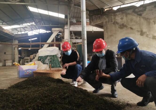 國網敘永縣供電公司紀委下沉鄉(xiāng)村 保秋茶供電