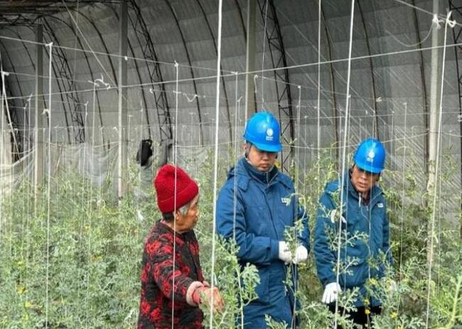 山東惠民供電公司：走訪種植大棚，優(yōu)化農(nóng)業(yè)營商環(huán)境