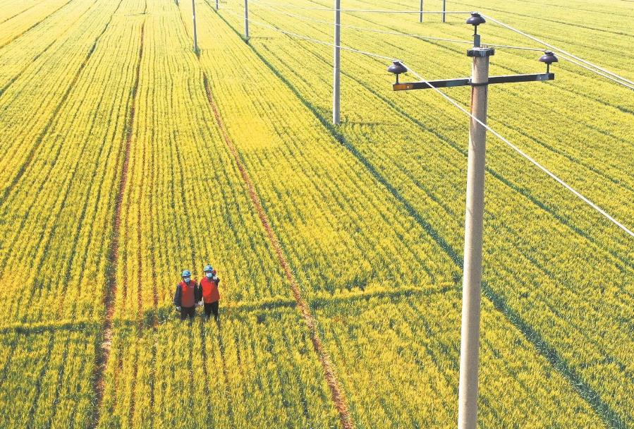 建立服務臺賬，精準了解村民用電需求
