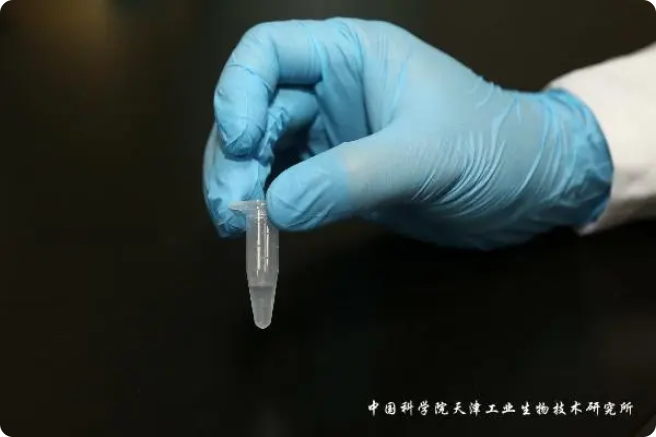 二氧化碳“變身”糖，中國科學(xué)家實(shí)現(xiàn)重大突破!