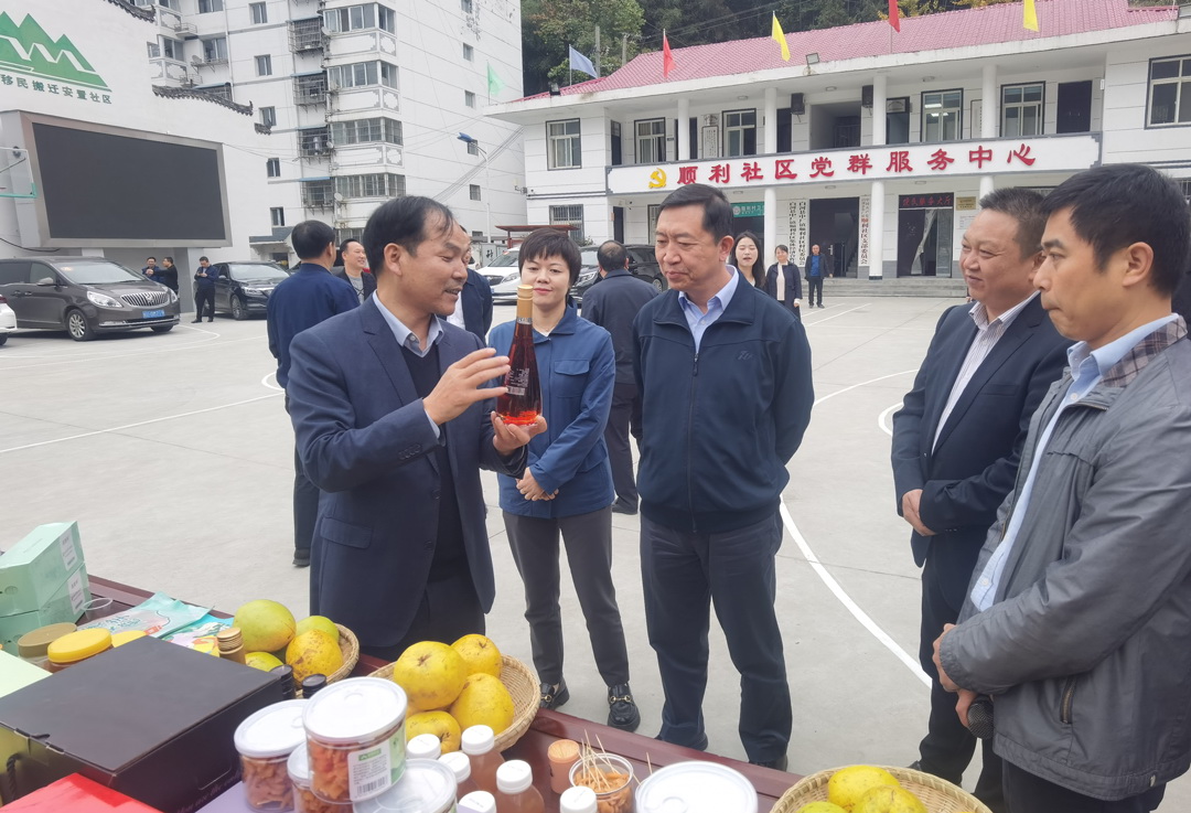 中核集團總經(jīng)理、黨組副書記顧軍赴陜西白河、旬陽調(diào)研鄉(xiāng)村振興工作