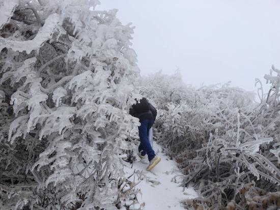 【新春走基層】迎雪而上攻堅行，奮戰(zhàn)不息護光明