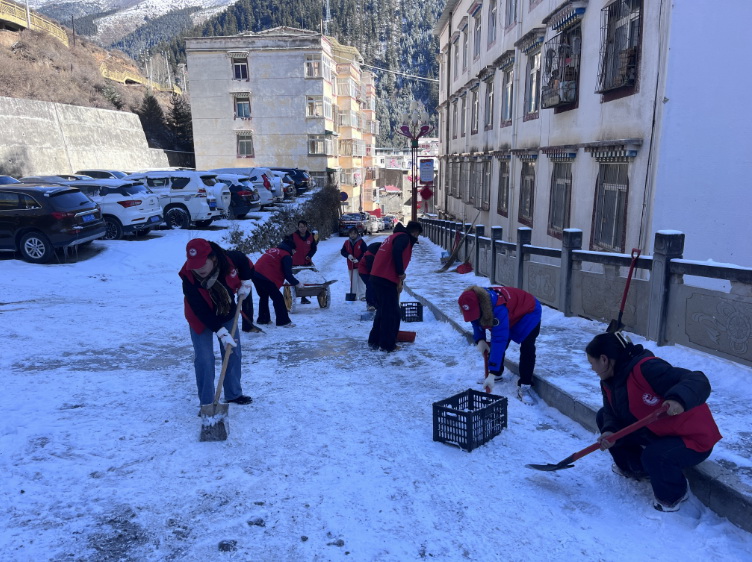 挺膺擔當志愿服務，清冰除雪保障安全